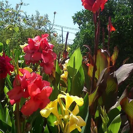 Pearl Appartamento Roda (Corfu)